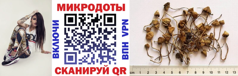 Галлюциногенные грибы GOLDEN TEACHER  Нюрба 